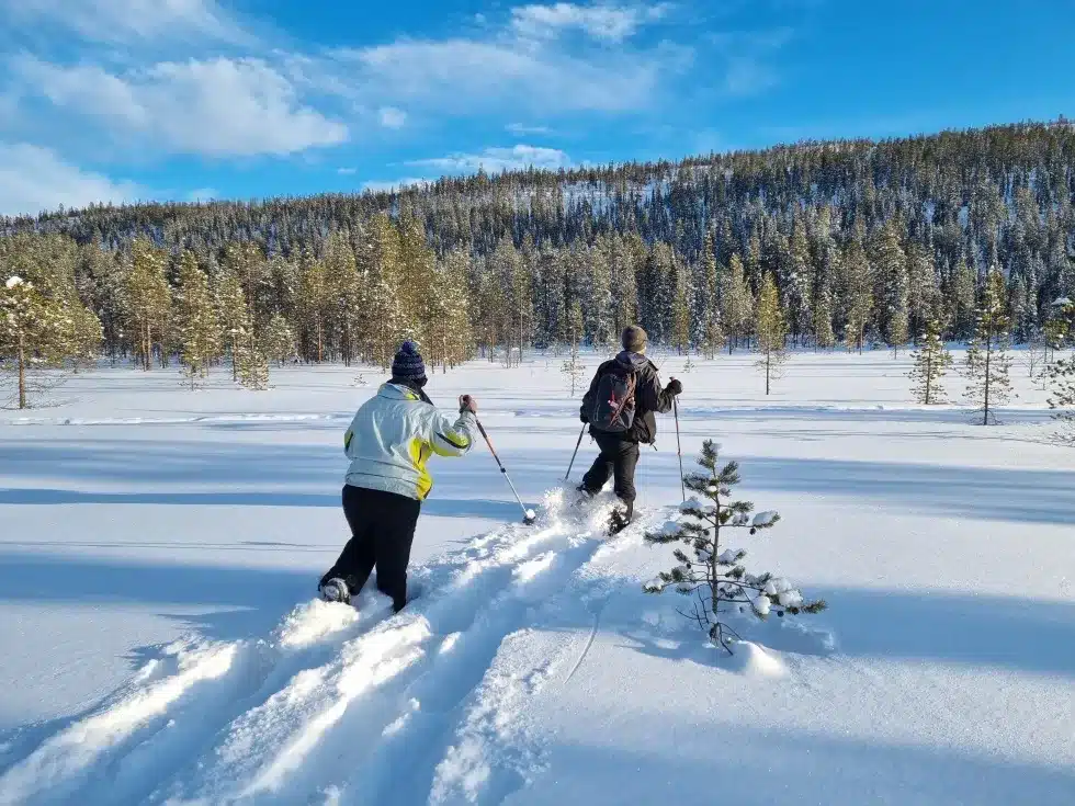 Leviland Snowshoeing in Lapland